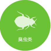 臭蟲防治